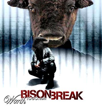 Photoshop Design by YearoftheDragon