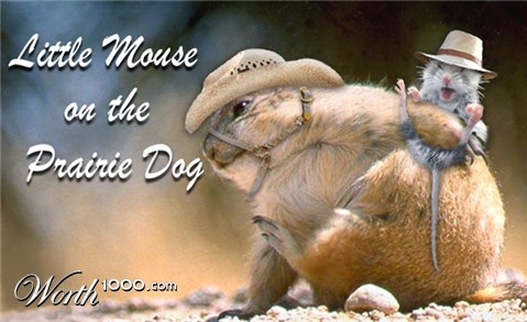 Photoshop Design by aards2