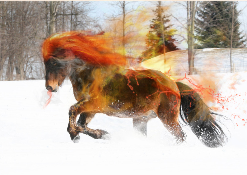 Design Photoshop par Para pour DesignCrowd (Community Contests) | Design #9000233