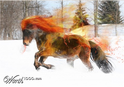 Photoshop Design by Para