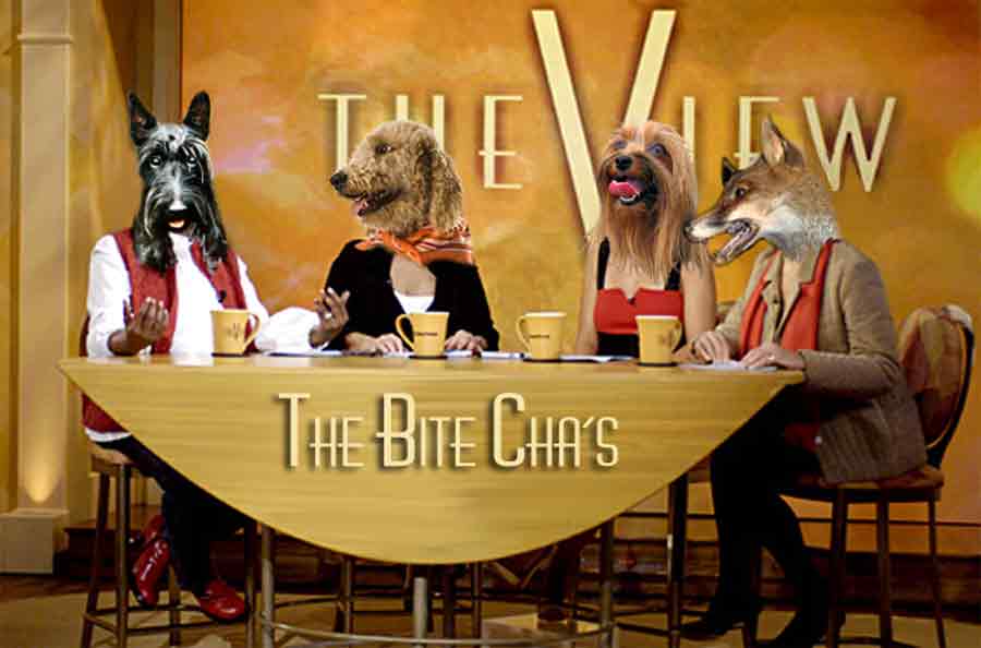 Diseño de Photoshop por kwize53 para DesignCrowd (Community Contests) | Diseño #8998417