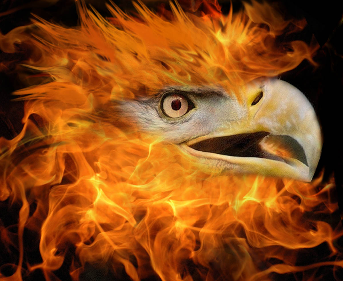 Diseño de Photoshop por zynnya para DesignCrowd (Community Contests) | Diseño #9000286