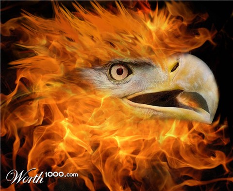 Photoshop Design by zynnya