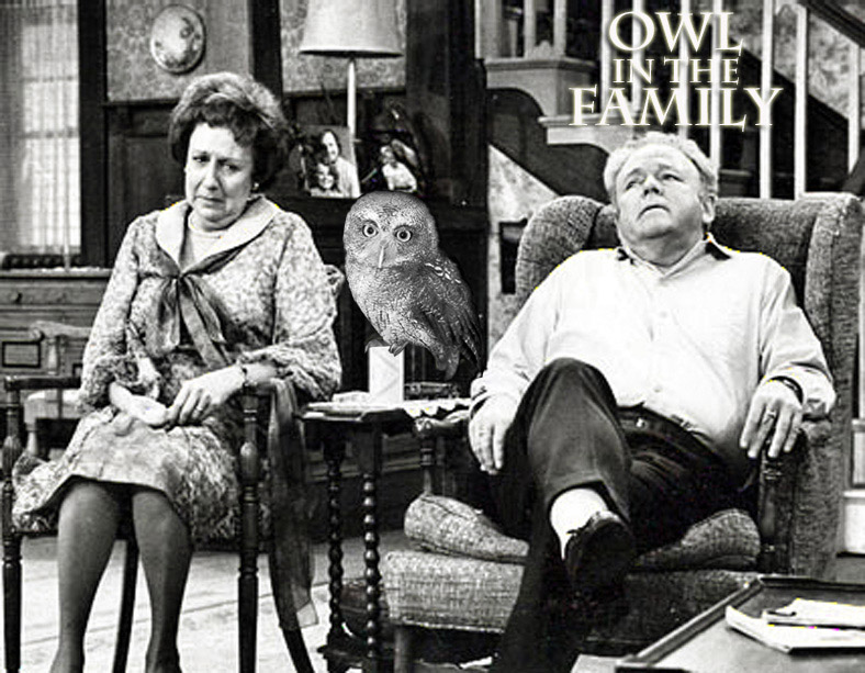 Photoshop Design by stringcheese for DesignCrowd (Community Contests) | Design #8998513