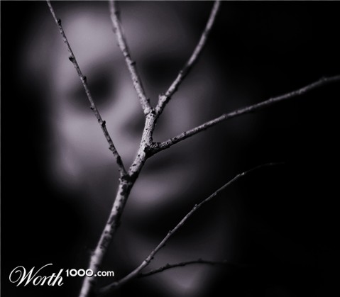 Photography by DreemReeper