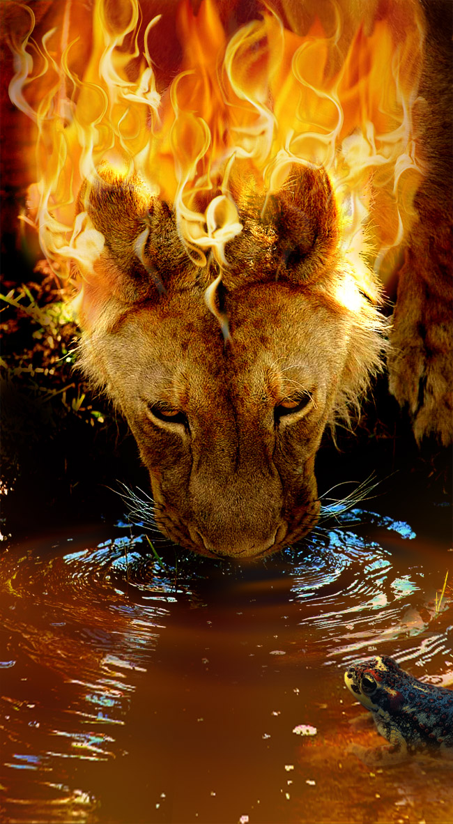 Photoshop-Design von cameon für DesignCrowd (Community Contests) | Design #9000319