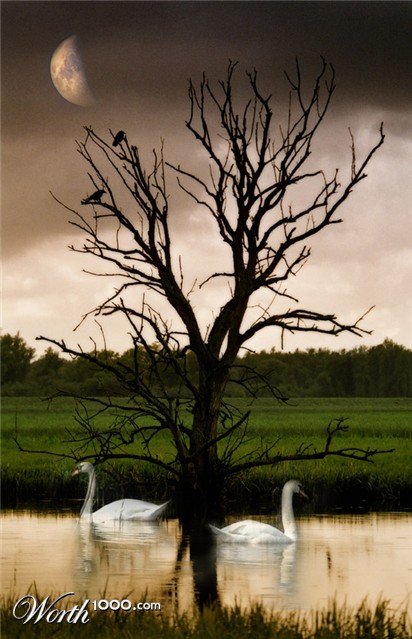 Photography by Marian