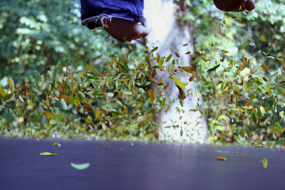 Photography by hwlsimon for DesignCrowd (Community Contests) | Design #9003438