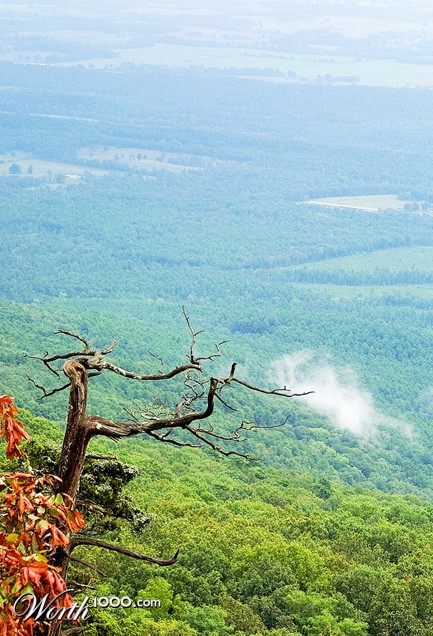 Photography by burns529