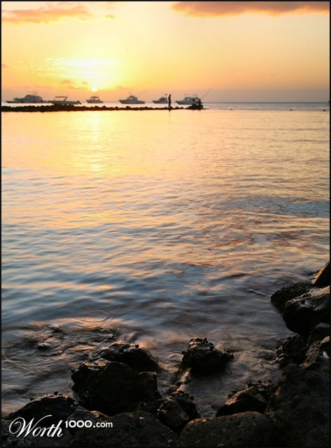 Photography by Juicer