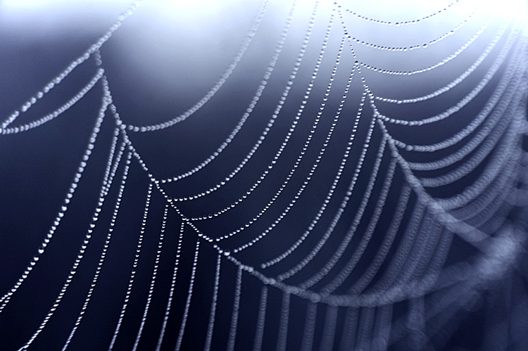 Fotografie von egonlinden für DesignCrowd (Community Contests) | Design #9004239