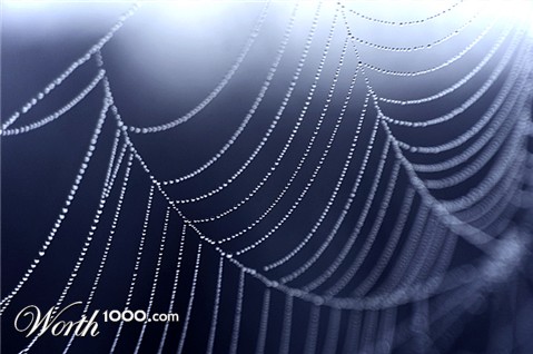 Photography by egonlinden