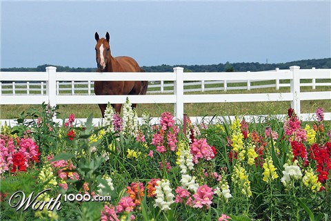 Photography by Momspc