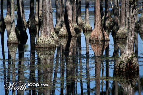 Photography by sheiser