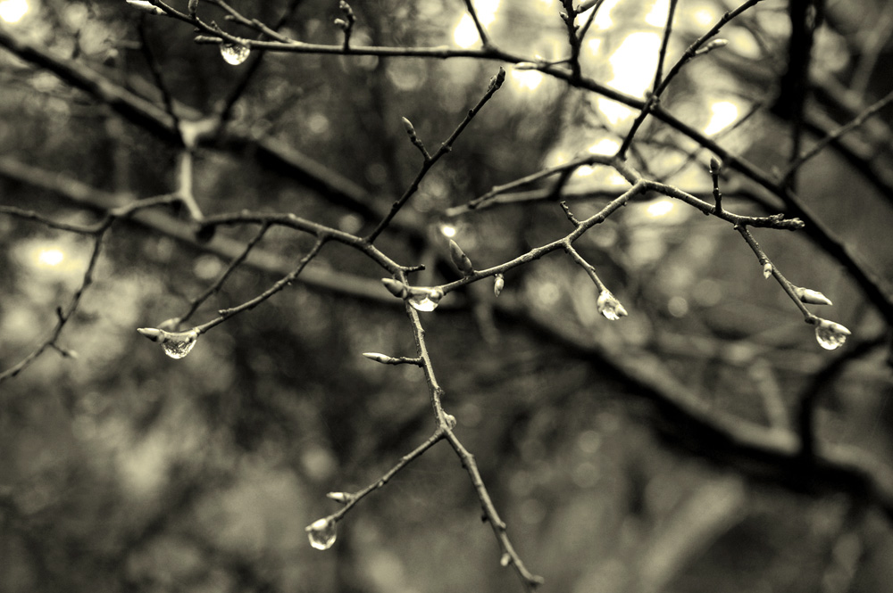 Fotografía por Lmorrow57 para DesignCrowd (Community Contests) | Diseño #8998174