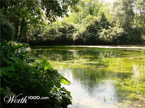 Photography by PozZz85