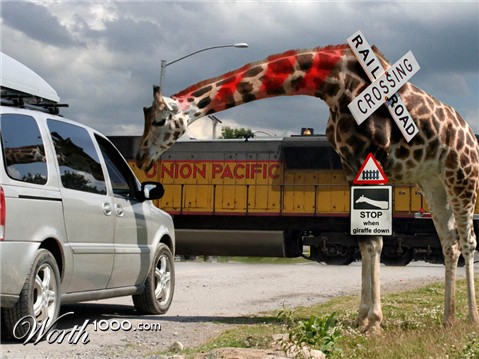 Photoshop Design by TheOutcast