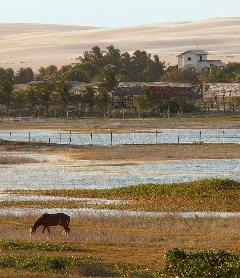 Photography by Pr4ktic for DesignCrowd (Community Contests) | Design #8995861