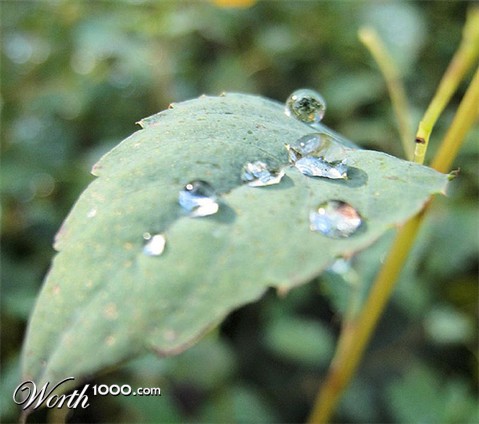 Photography by kelaltieri