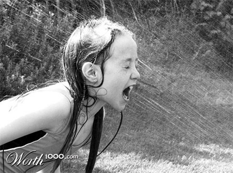 Photography by artisanmum