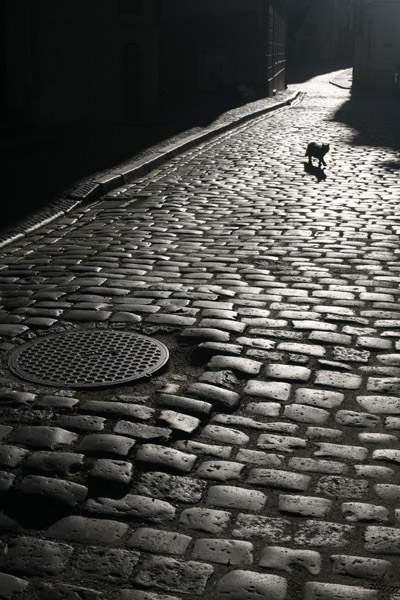 Photography by bulochka for DesignCrowd (Community Contests) | Design #8995856
