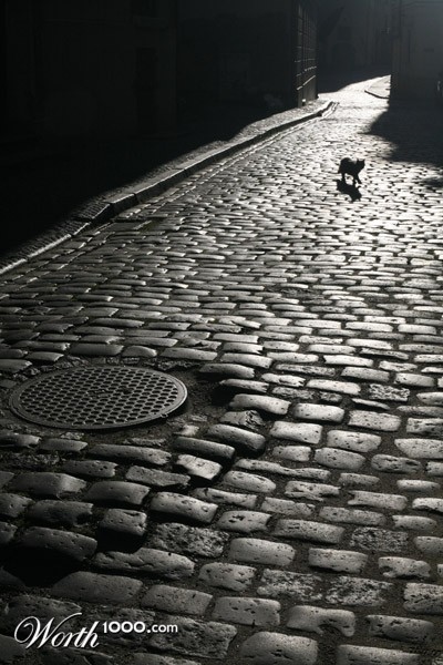 Photography by bulochka