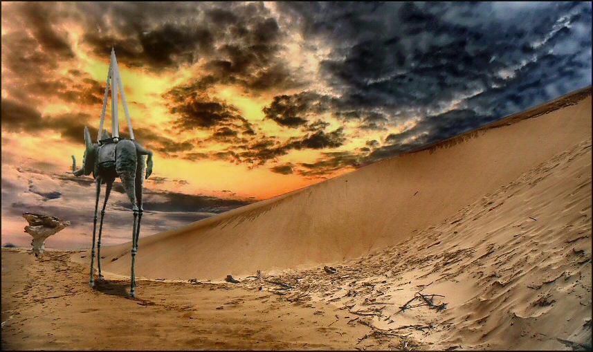 Photography by Juicer for DesignCrowd (Community Contests) | Design #9002223