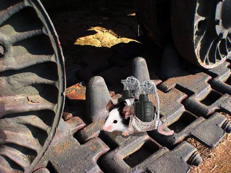 Photoshop Design by PeterAAAWelch for DesignCrowd (Community Contests) | Design #8999616