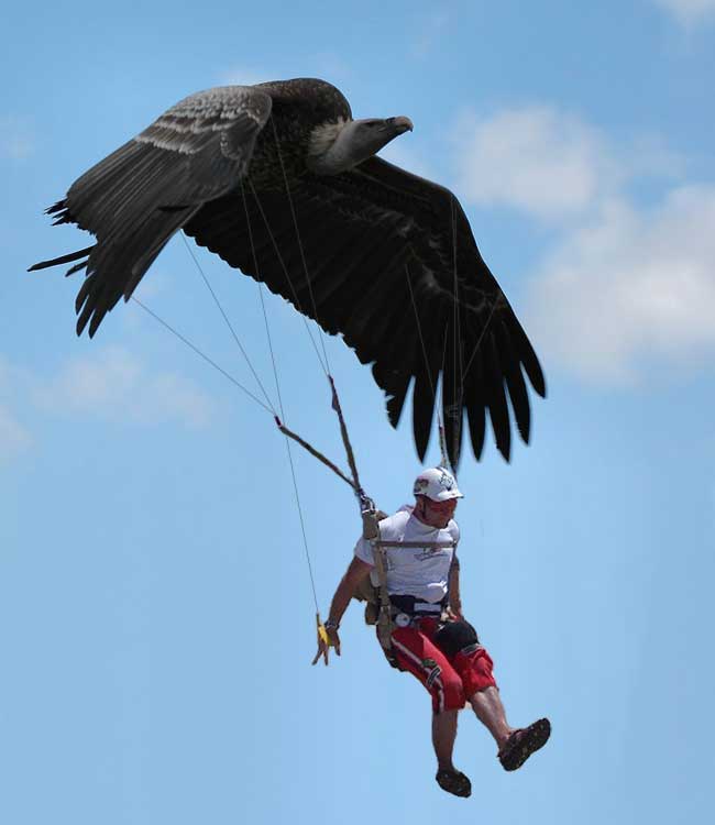 Photoshop Design by PeaseGirl for DesignCrowd (Community Contests) | Design #8999664