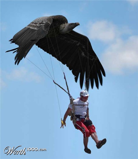 Photoshop Design by PeaseGirl