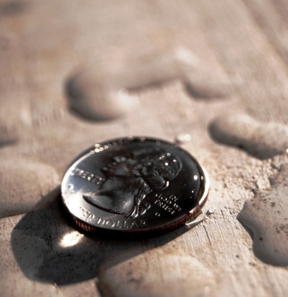 Photography by liberty2007crusader for DesignCrowd (Community Contests) | Design #8998197