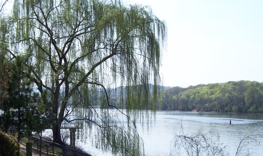 Photography by planetgazer for DesignCrowd (Community Contests) | Design #8995875