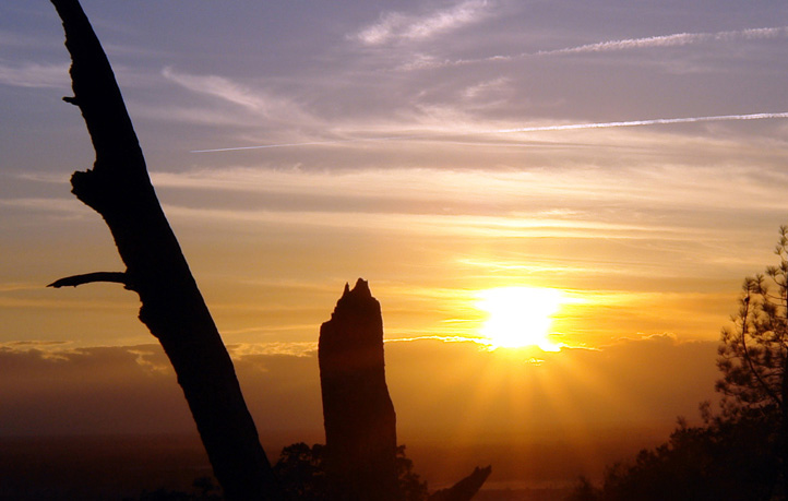 Photography by ljvgtj for DesignCrowd (Community Contests) | Design #8995824