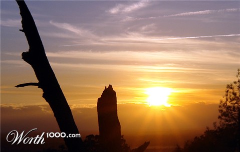 Photography by ljvgtj