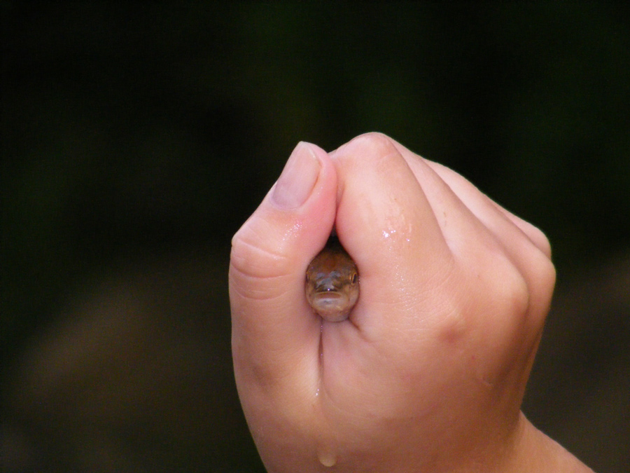 Photography by FamousAsset for DesignCrowd (Community Contests) | Design #8998212