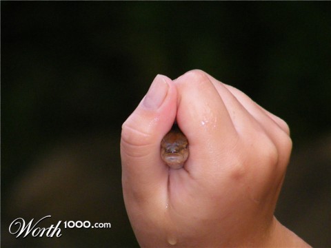 Photography by FamousAsset