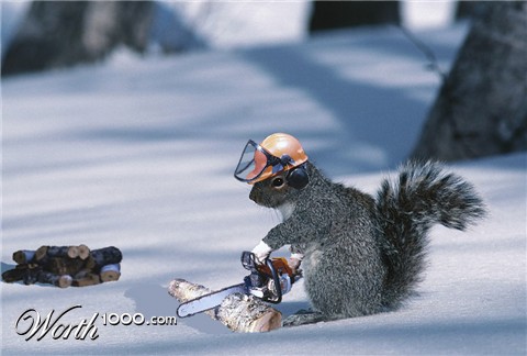 Photoshop Design by bicyclewilli