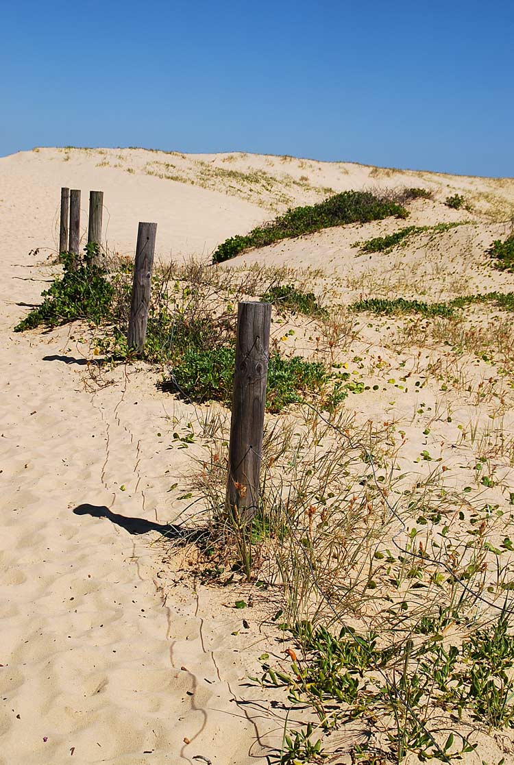 Photography by gymp93 for DesignCrowd (Community Contests) | Design #8995816