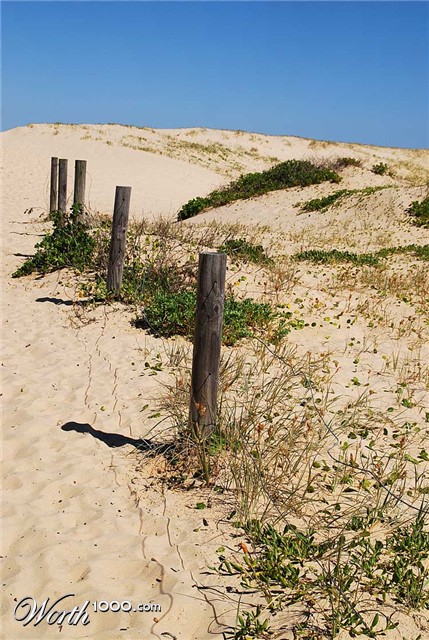 Photography by gymp93