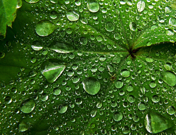 Photography by them00n for DesignCrowd (Community Contests) | Design #8998194