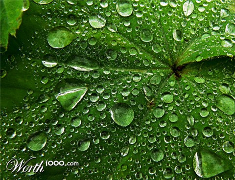 Photography by them00n