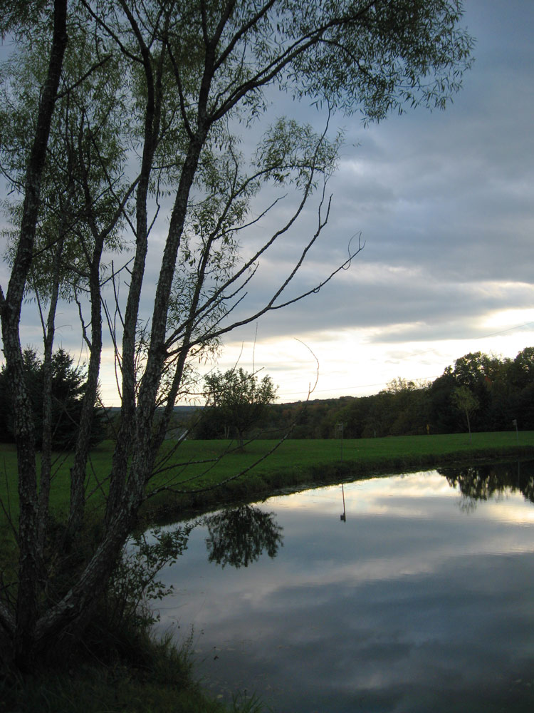 Fotografía por phischer para DesignCrowd (Community Contests) | Diseño #8995838