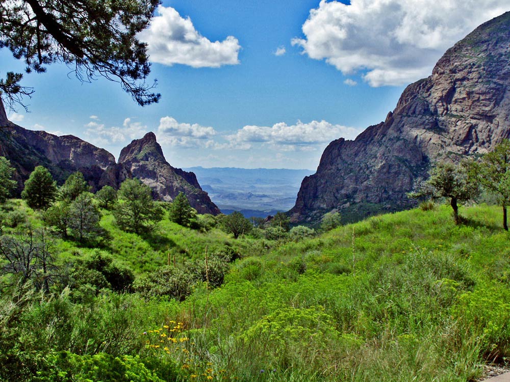 Photography by Lmorrow57 for DesignCrowd (Community Contests) | Design #8995974