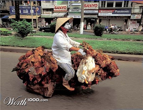 Photoshop Design by Beetleb