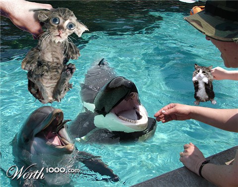 Photoshop Design by GreenChianti