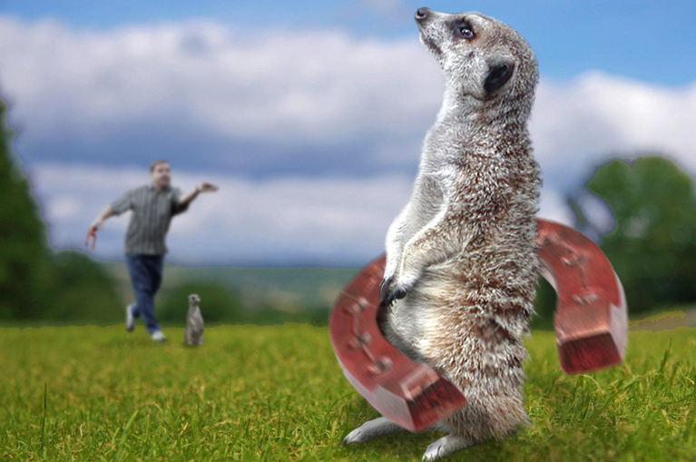 Design Photoshop par beanfarmer pour DesignCrowd (Community Contests) | Design #8999633