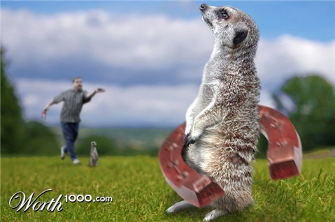 Photoshop Design by beanfarmer