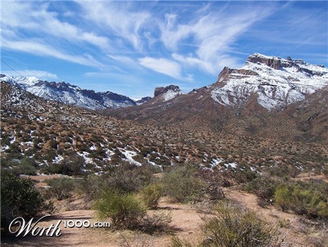 Photography by wilowwhysp