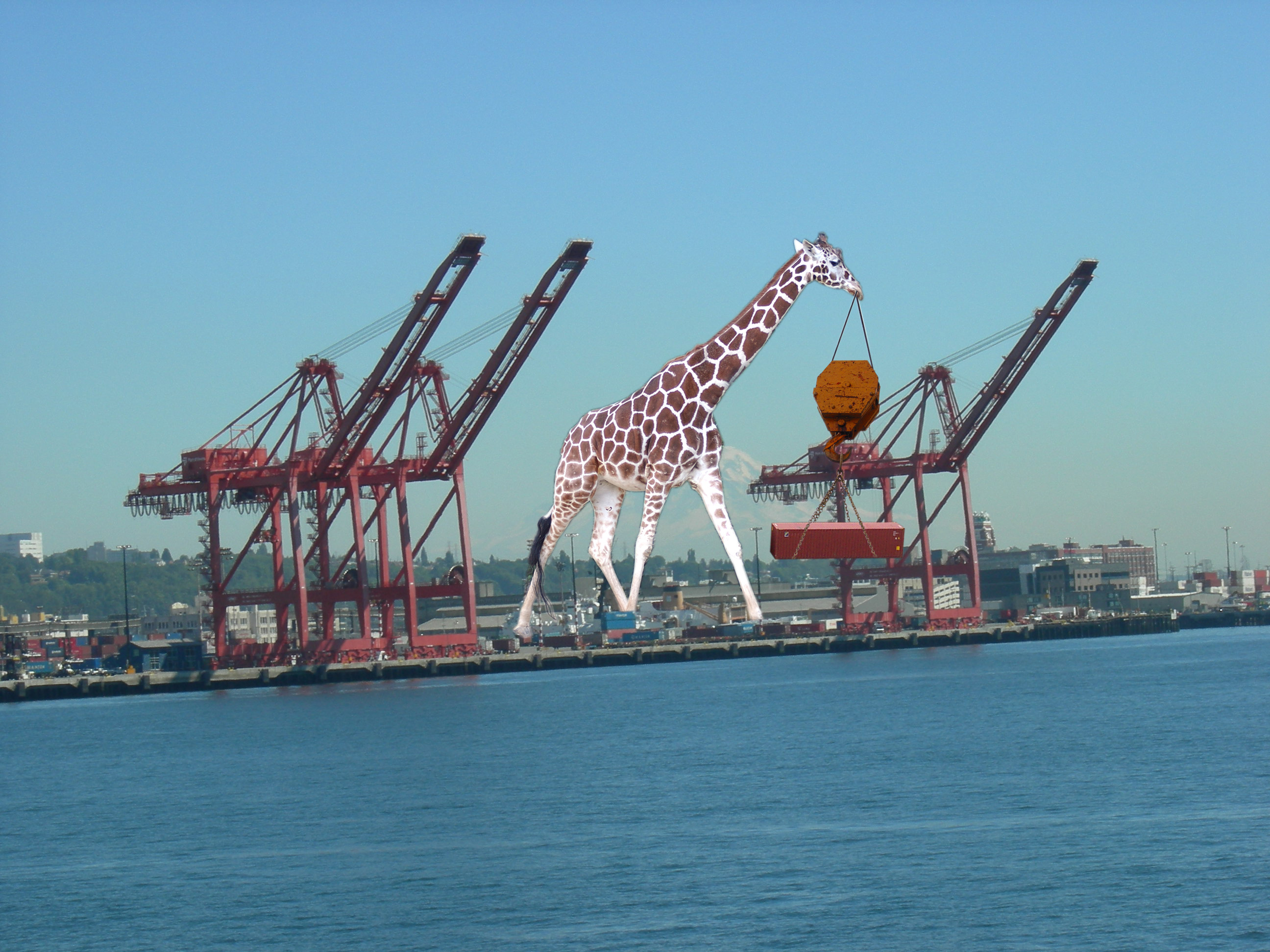 Photoshop Design by gardner3 for DesignCrowd (Community Contests) | Design #8999699