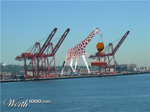 Photoshop Design by gardner3